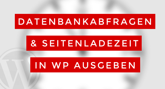 datenbankabfragen-ladezeit-wp-ausgeben