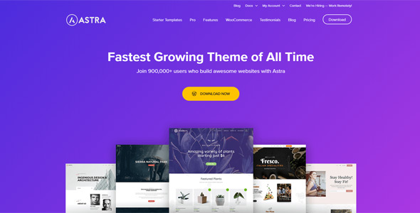 Profi für WordPress Astra Theme