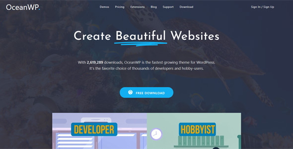 Profi-fuer-WordPress-OceanWP-Theme